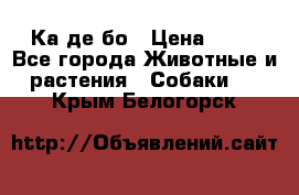 Ка де бо › Цена ­ 25 - Все города Животные и растения » Собаки   . Крым,Белогорск